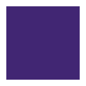 404* Purple